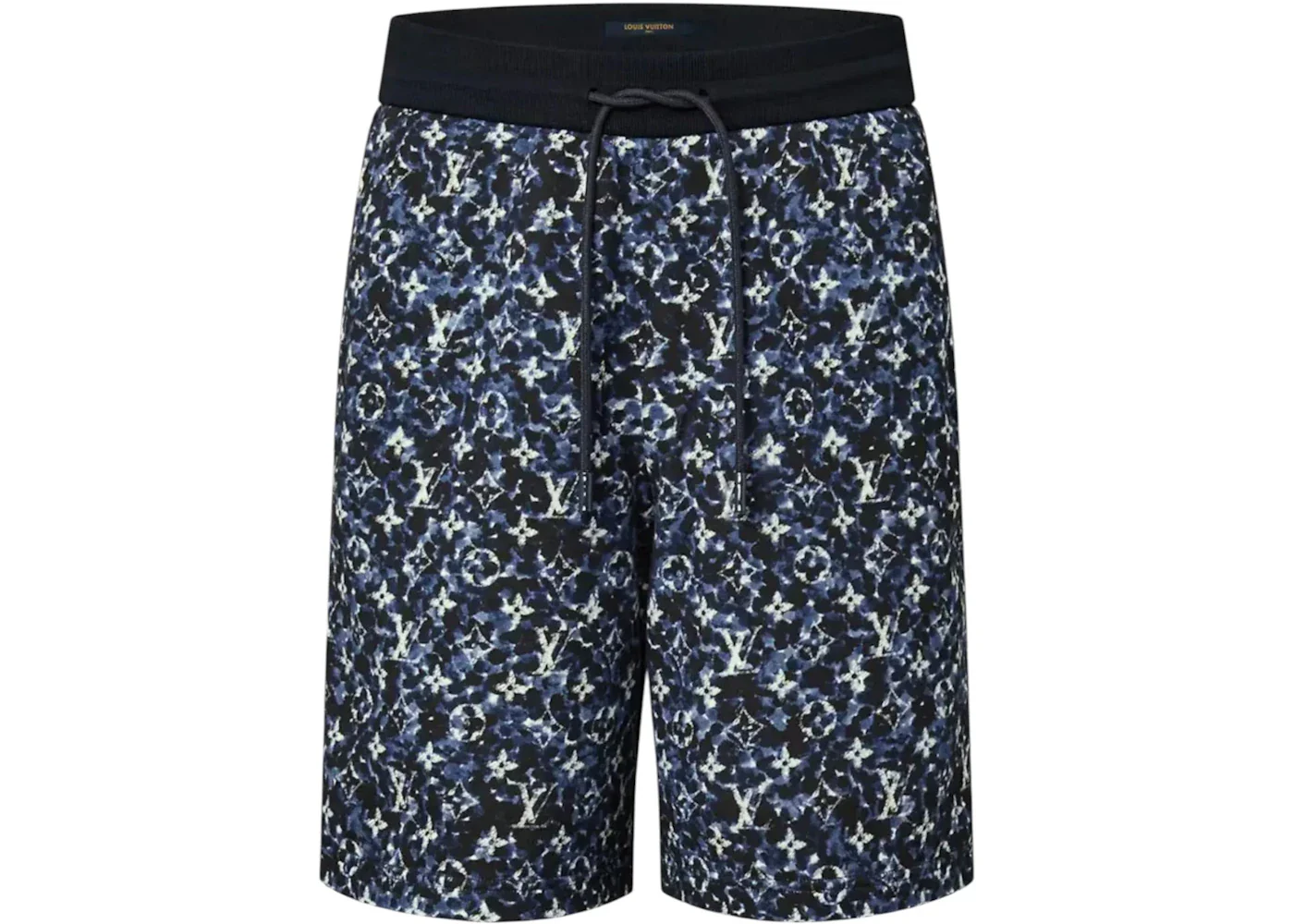 Louis Vuitton Monogram Pointilism Shorts Blue