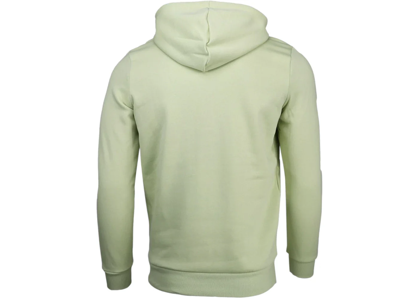 Puma Tonal Sportswear Graphic Full Zip Hoodie Pistachio Green