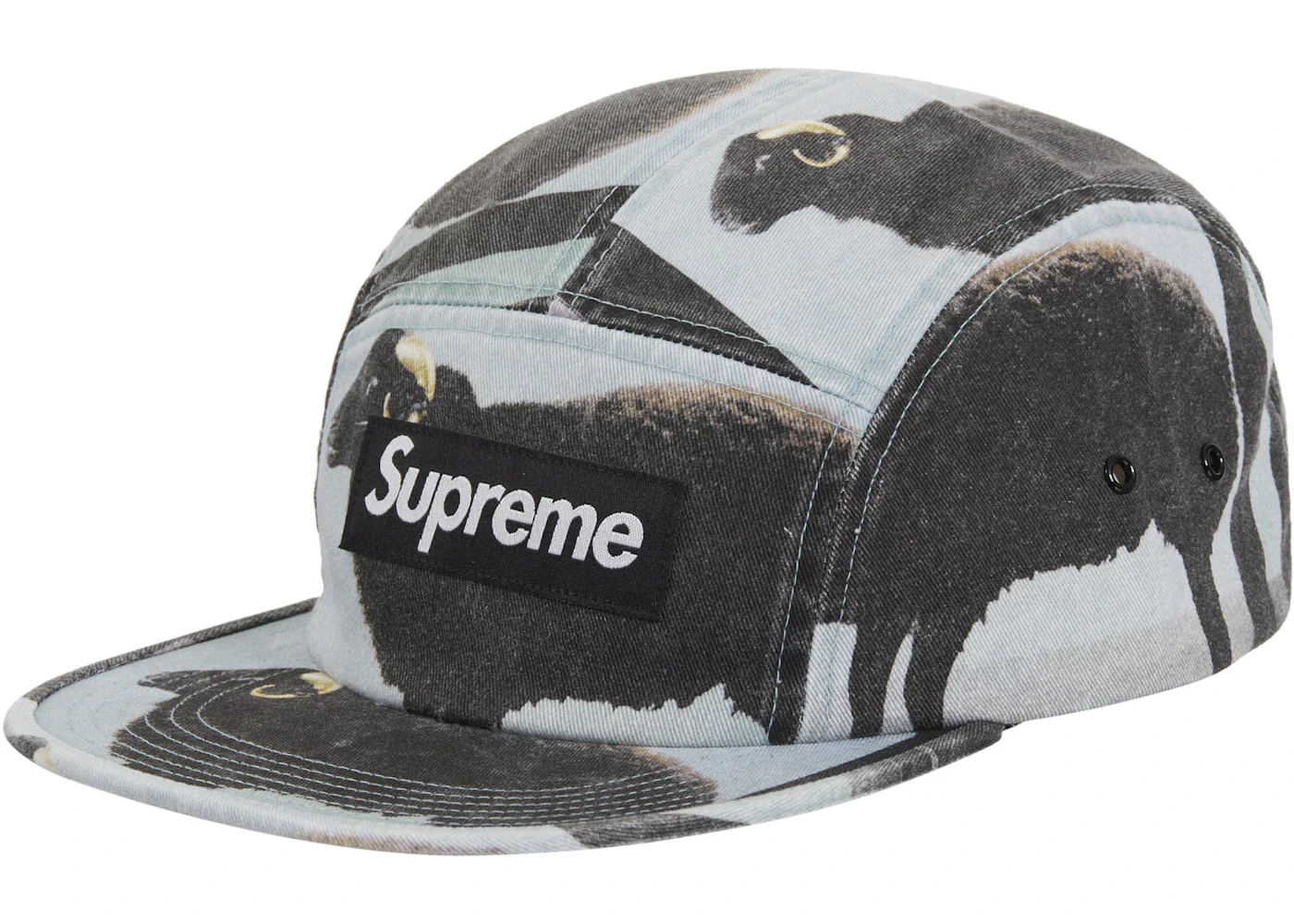 Supreme Damien Hirst Camp Cap Black