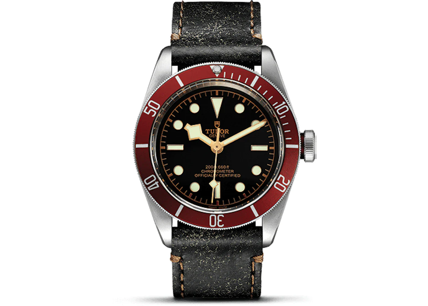 Tudor Black Bay M79230R